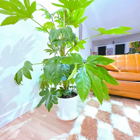 Lejlighed Le Cosy Perpi 90m2 En Hyper Centre