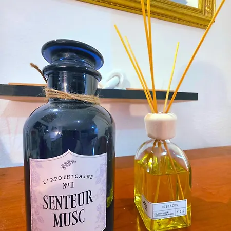 Le Cosy Perpi 90m2 En Hyper Centre Lejlighed