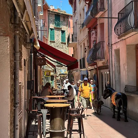 Le Cosy Perpi 90m2 En Hyper Centre Lejlighed *